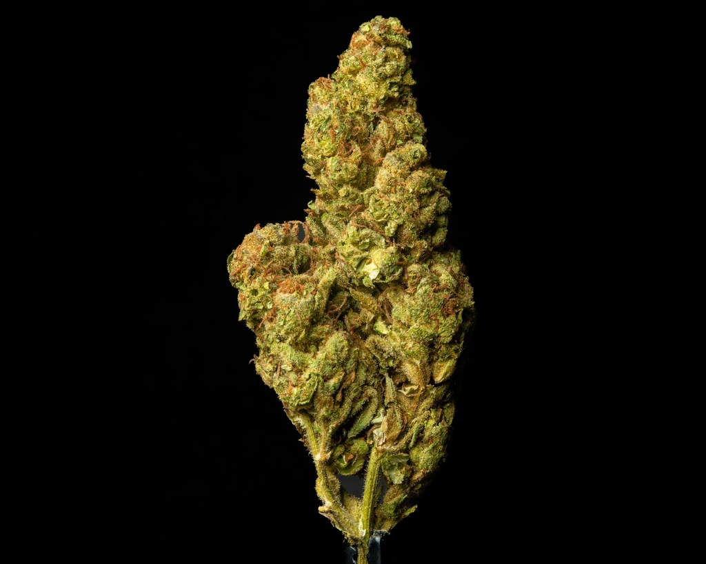 Gorilla Glue 4