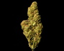 Gorilla Glue 4