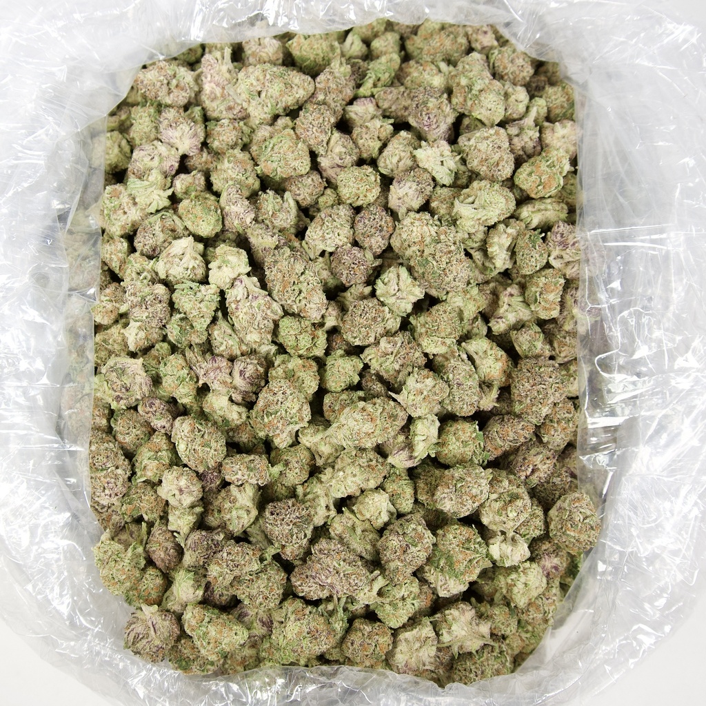 Purple Punch