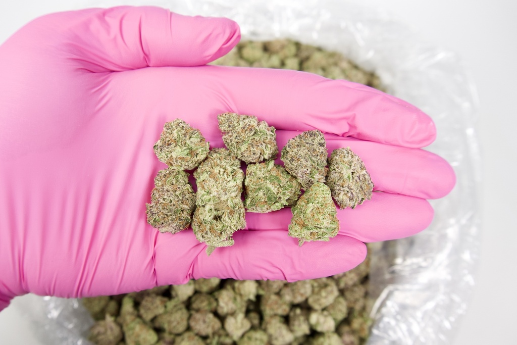 Purple Punch
