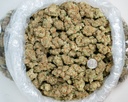 Blockberry Indoor
