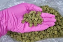 Orange Cannoli Smalls