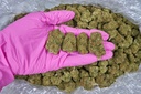 Orange Cannoli