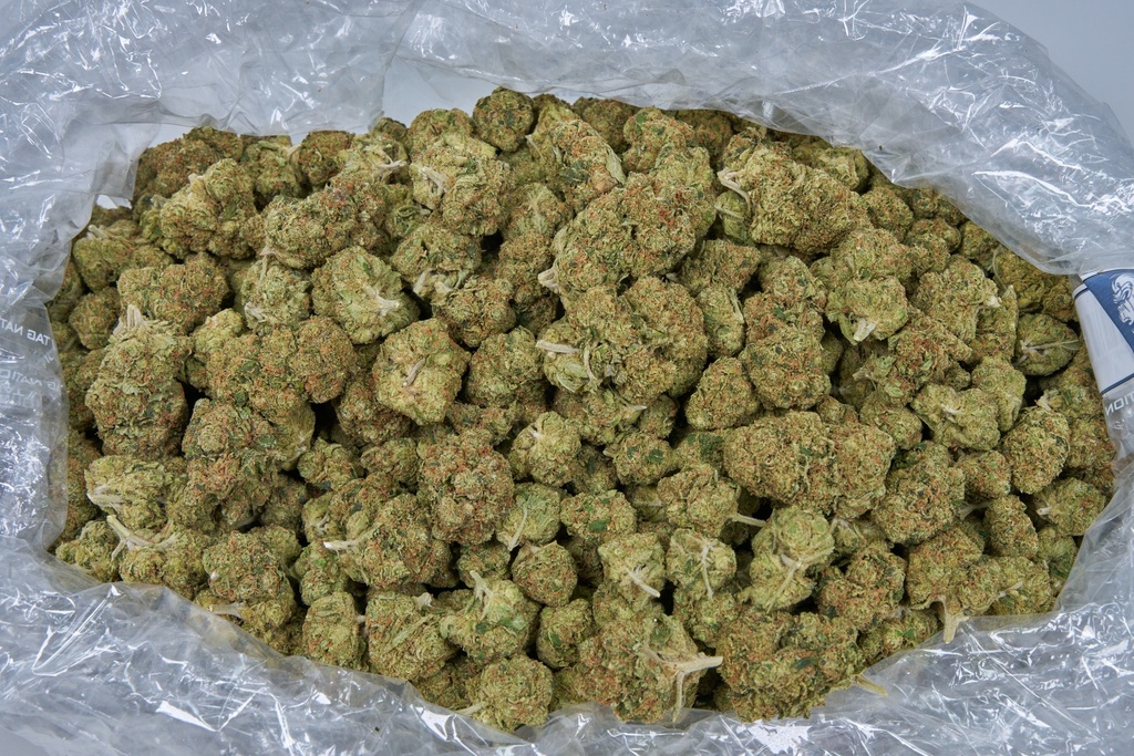 Orange Cannoli