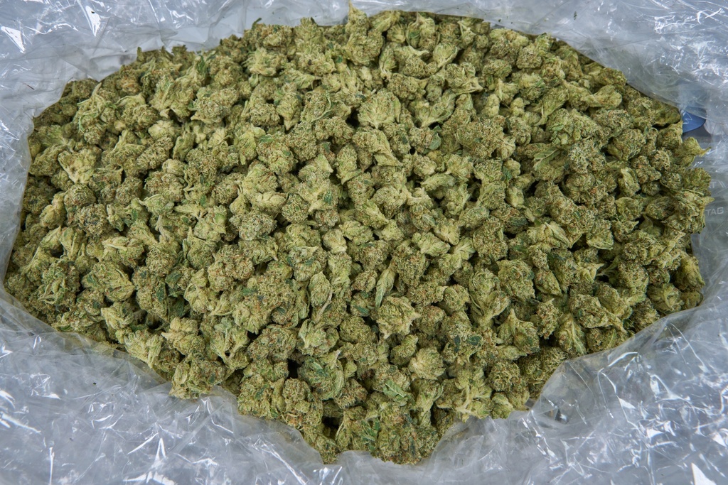 Gorilla Glue #4 Indoor Smalls
