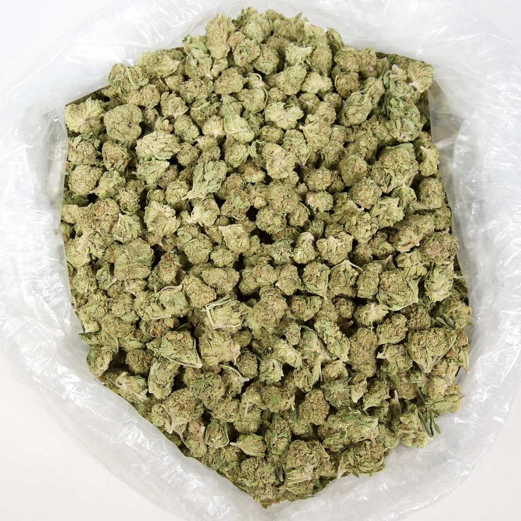 Oreoz Indoor Mediums