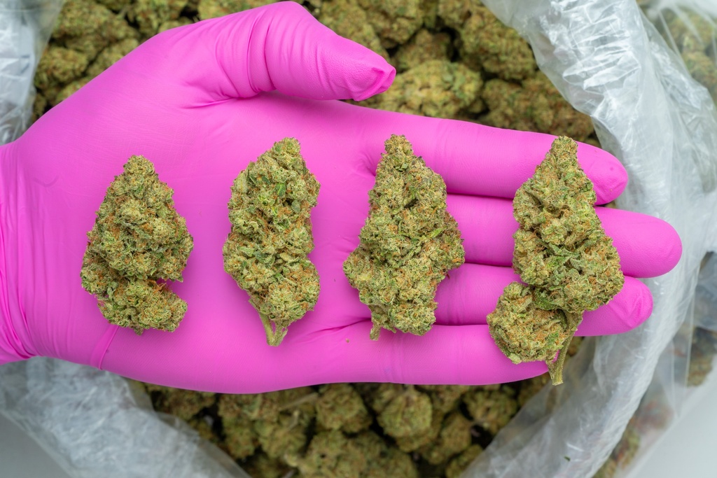 Gelato