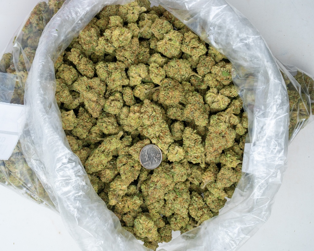 Gelato