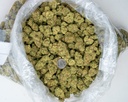 Gelato
