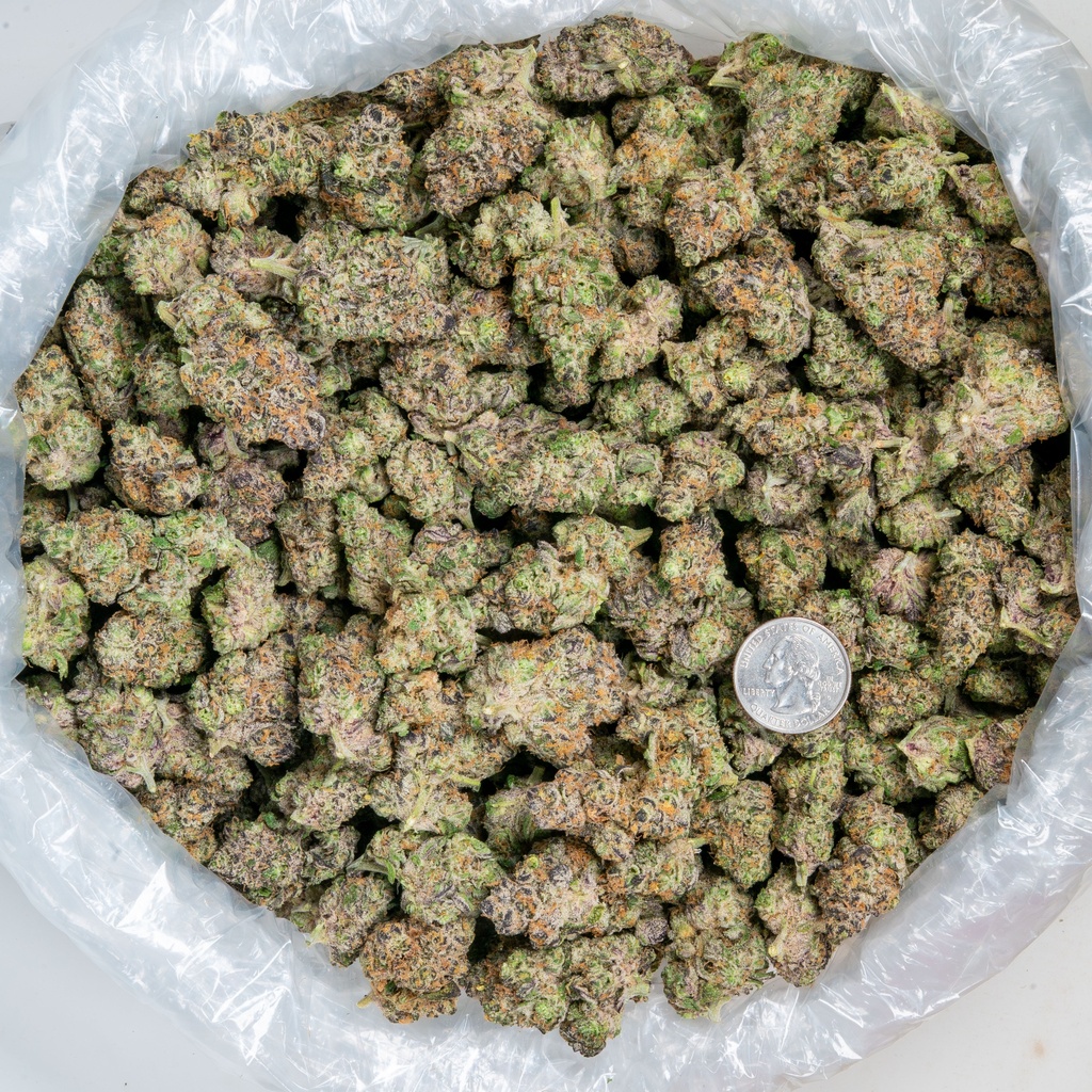 Peanut Butter Breath Indoor