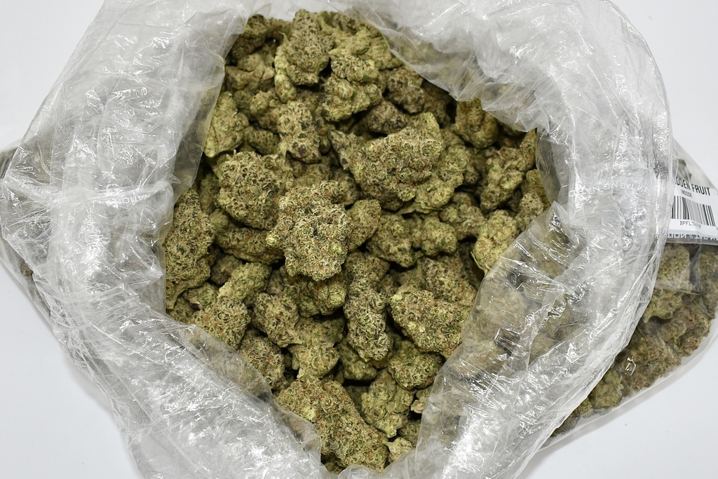 Forbidden Fruit Indoor