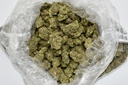Forbidden Fruit Indoor