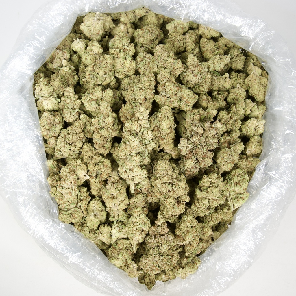 Apple Sherbet