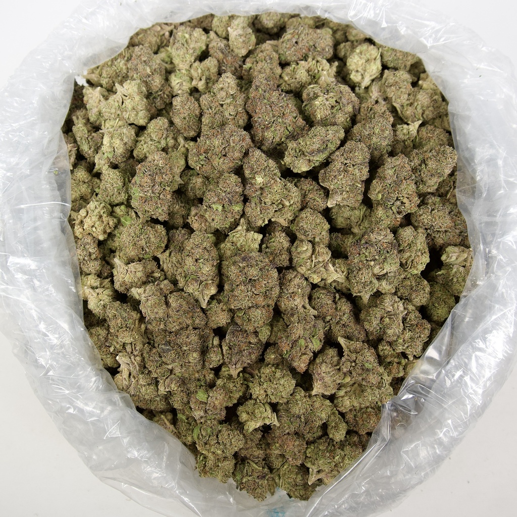 Astro Candy Indoor