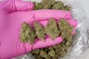 Candy Glue