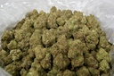 Candy Glue