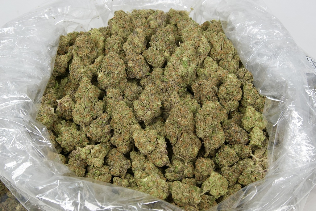 Candy Glue