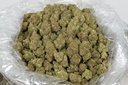 Candy Glue