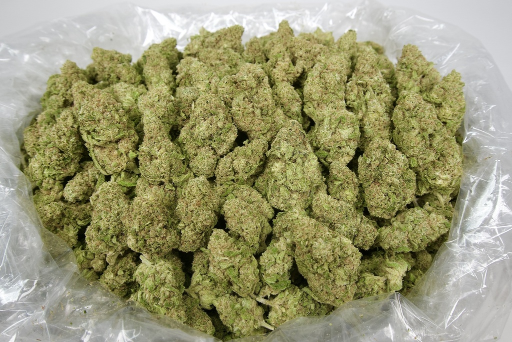 Tasty Wave