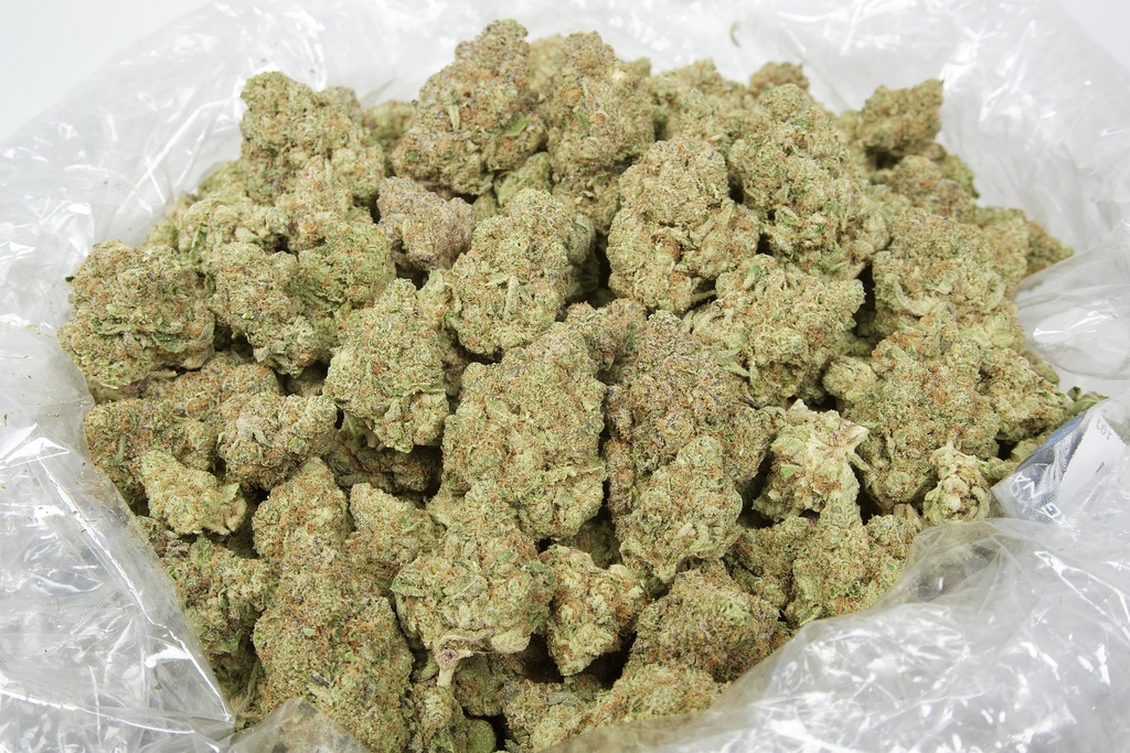 Cinderella OG Indoor