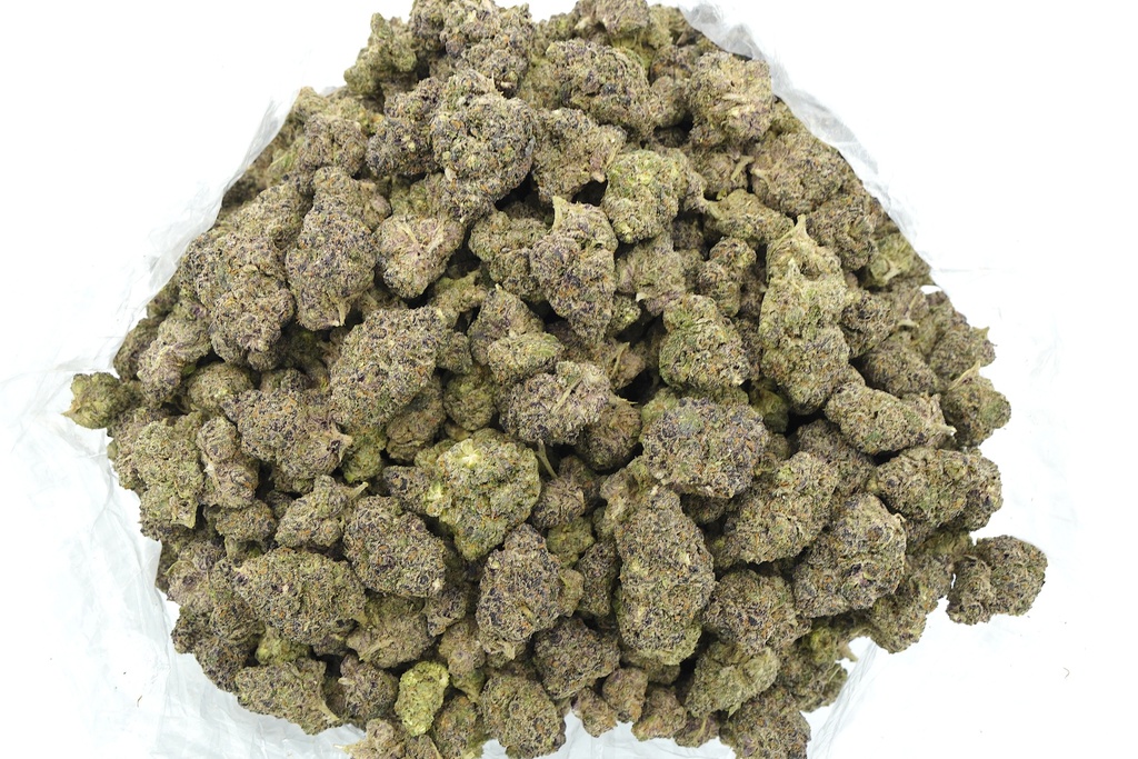 Purple Milk Indoor