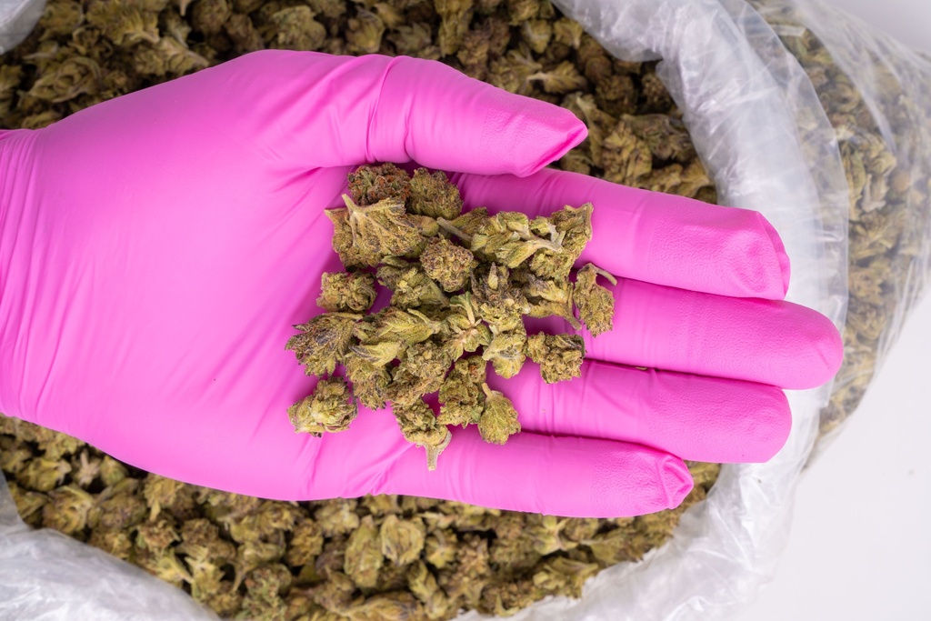 Gmo Cookies Smalls