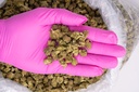 Gmo Cookies Smalls