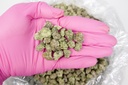 Gmo Cookies Smalls