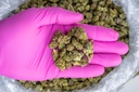 Gmo Cookies Smalls