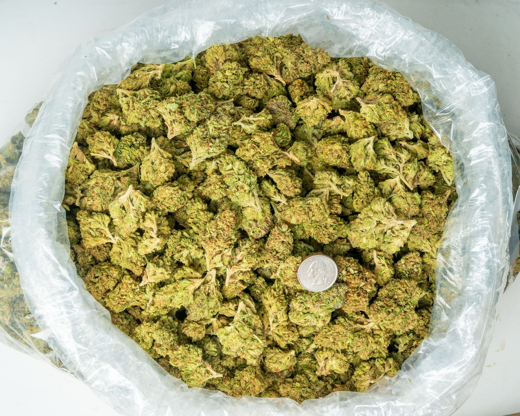 OG Kush