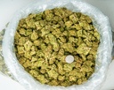 OG Kush