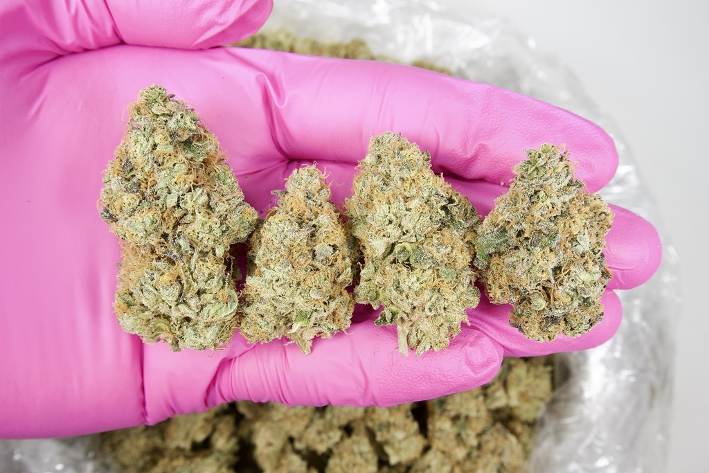 Wonder Bread Indoor