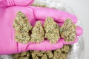 Wonder Bread Indoor