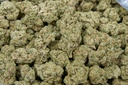 Jealousy X Kush Mintz