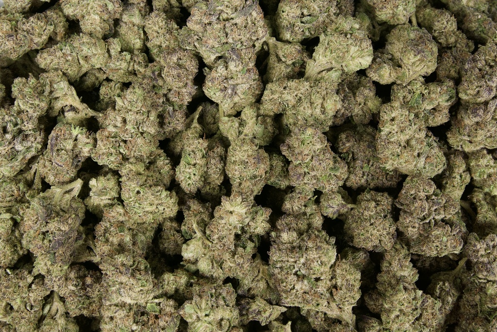 Alaskan Thunder Fuck