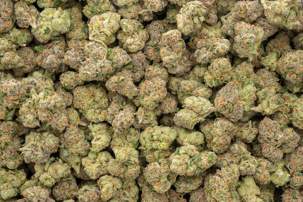 Gelato #33 Indoor