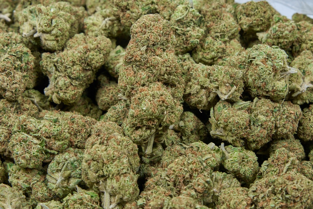 Larry Og Indoor