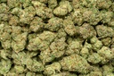 Og Cherry Indoor
