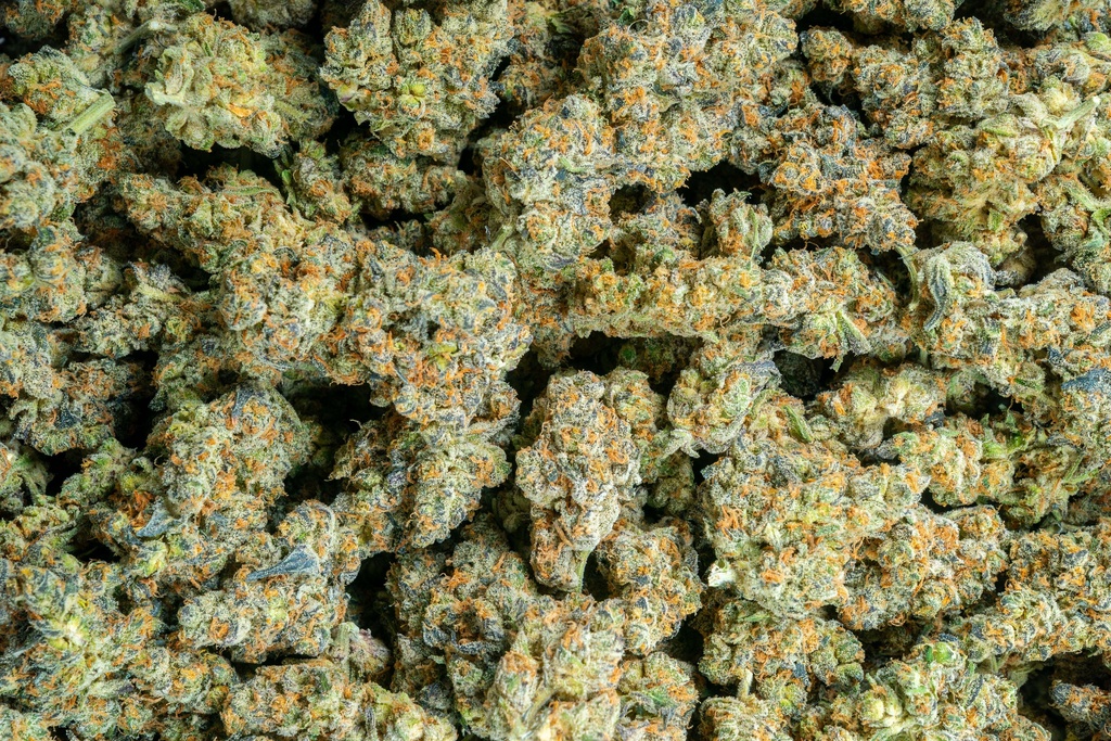 Pure Michigan Indoor