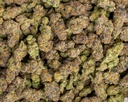Pure Michigan Indoor