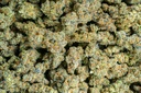 Pure Michigan Indoor