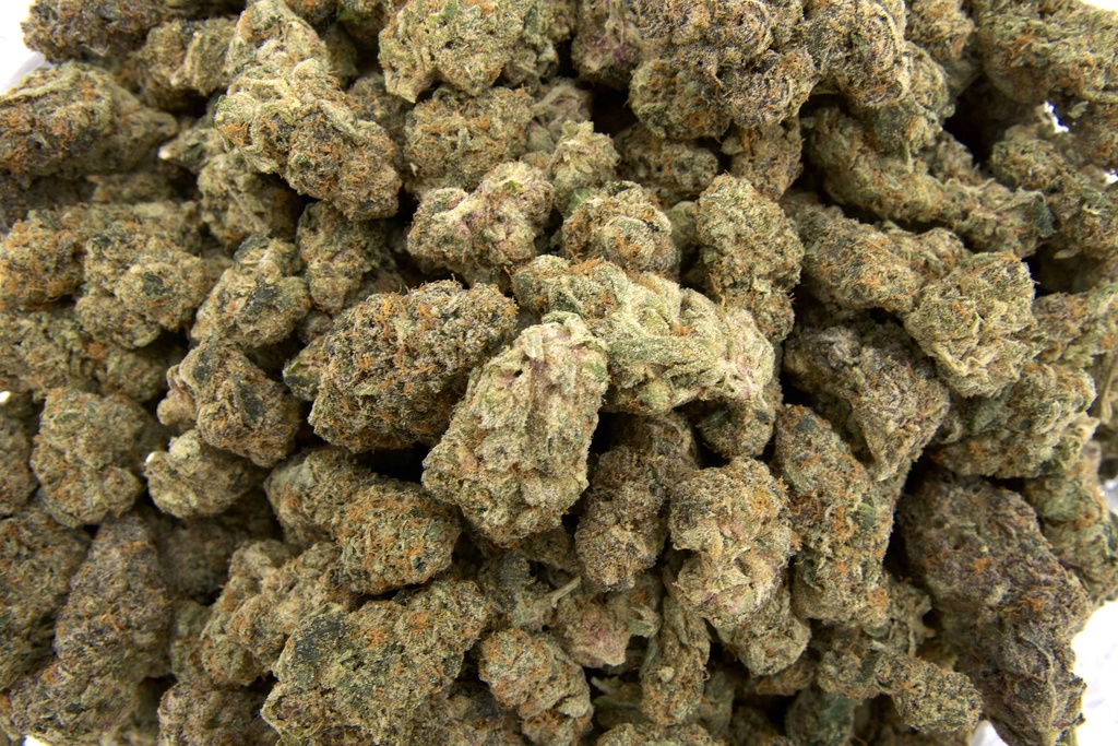 Roxanne Indoor