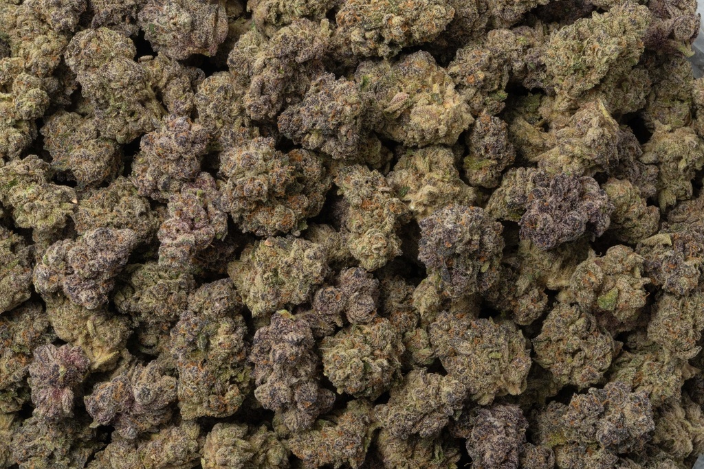 The One Indoor