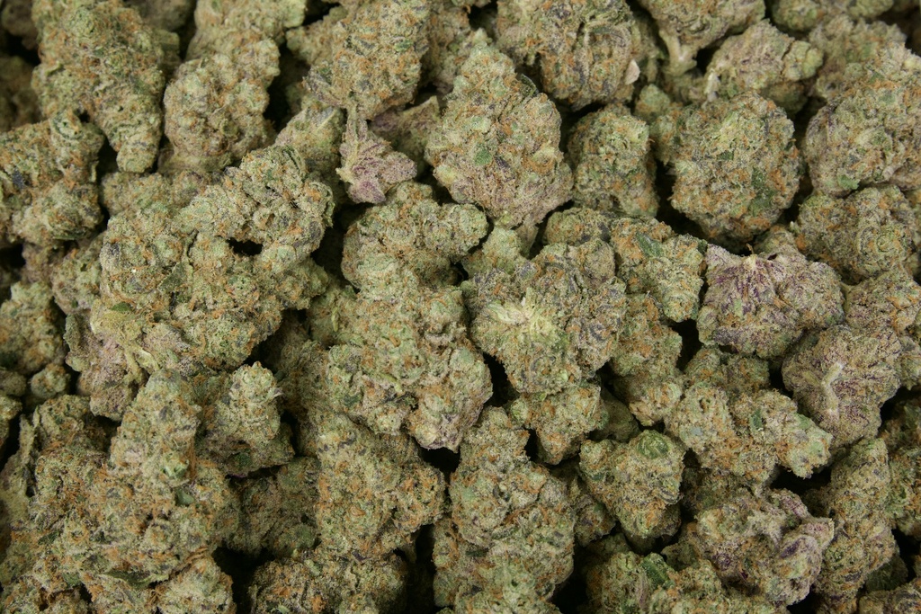 The One Indoor