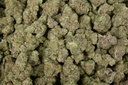 The One Indoor