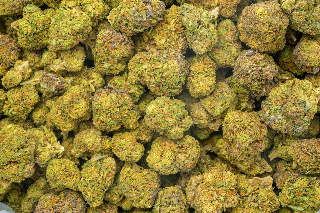Gary Zkittles