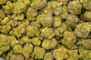 Gary Zkittles