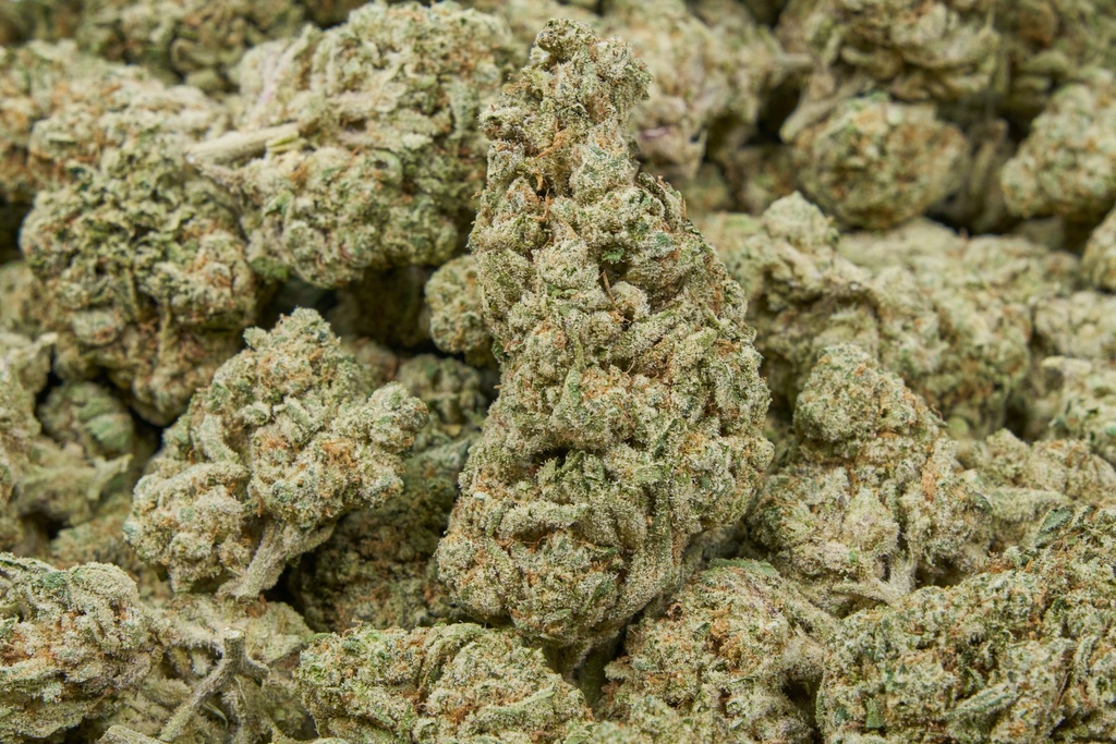 Jealousy X Kush Mintz