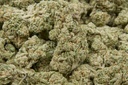 Jealousy X Kush Mintz