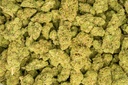 Keylime Cookies